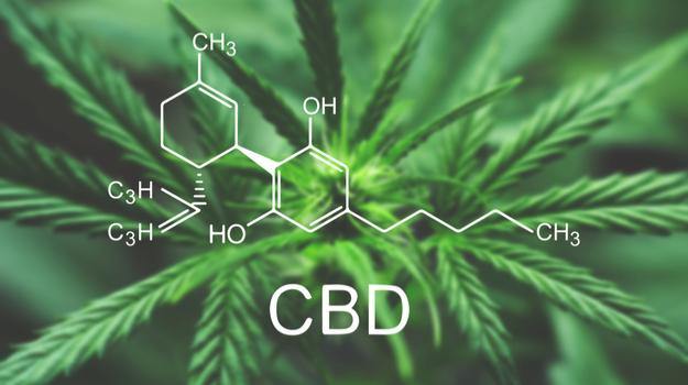 Do Topical CBD Products Work? Here's what you need to know before you use topical CBD products.  By Vanessa Caceres